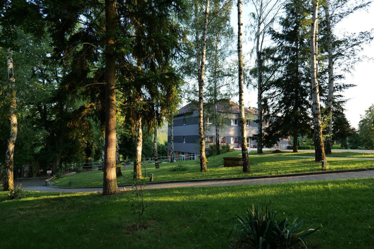 Penzion Harmony Javornik Ctyrkoly Exterior foto
